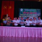 Cao su Kon Tum: Hiệu quả cao dù bón phân giảm