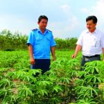 Điển hình phát triển kinh tế gia đình ở Cao su Phước Hòa