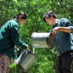 Chung sức tái cơ cấu ngành, xây dựng nông thôn mới