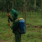 Những sáng kiến từ lòng yêu nghề