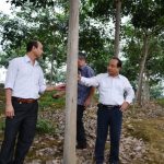 Vàng trắng phía Bắc chứa bao tâm huyết, nghĩa tình