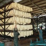 Nhiều sáng kiến giúp giảm giá thành chế biến