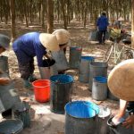 Ký ức tiếng thùng ... leng keng