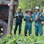 Để vườn cây chất lượng tốt, năng suất cao