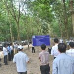 Phát triển cao su tại Lào và Campuchia: Hướng đến năng suất cao và bền vững