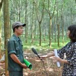 Người tổ trưởng số đỏ