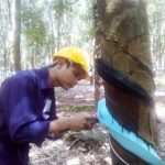 Kiện tướng Hồ Đình Hùng: Hội thi nào cũng đạt giải!