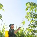 Tăng cường và nâng cao chất lượng công tác kiểm tra, giám sát