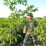 Quản lý nông nghiệp cần linh hoạt hơn