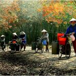 Hoài niệm