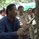 Cao su Chư Păh mở miệng cạo tại Campuchia