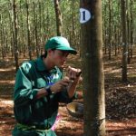 Đa dạng hình thức khen thưởng thi đua nước rút