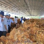 Tập trung xây dựng thương hiệu cao su tại Campuchia