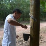 Phước Hòa Kampong Thom quản lý tốt công tác khai thác