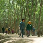 Hành trình miền Đông