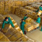 Phát triển vị thế tập đoàn kinh tế có quy mô lớn