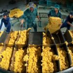 Khẳng định vị thế một ngành kinh tế mạnh
