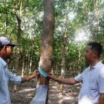 Truyền thống ngành trên vùng đất mới