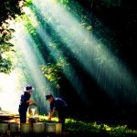 Cái lạnh trên lô mùa cuối năm