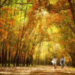 Đợi em ở phía mùa Xuân