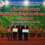 Cao su Lai Châu dự kiến khai thác đạt trên 901 tấn mủ năm 2017