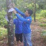 Xung kích trong phong trào thi đua nước rút
