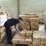 Cao su Dầu Tiếng: Nhiều nhóm giải pháp khi cổ phần hóa