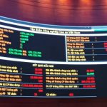 IPO VRG: Giá trúng bình quân 13.011 đồng/CP