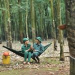 Người Quảng Trị trên đất Xà Bang