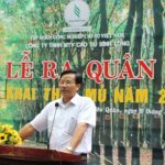 Cao su Bình Long phấn đấu khai thác vượt trên 800 tấn mủ