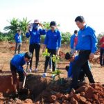 Thực hiện 3 công trình thanh niên gây quỹ tại Cao su Mang Yang