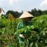 Quản lý kỹ thuật chuyên nghiệp hơn
