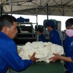 Giải pháp tiêu thụ cao su phía Bắc và Campuchia
