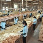 Gỗ Tây Ninh hướng đến xuất khẩu sản phẩm tinh chế