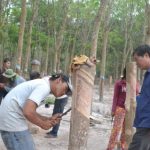 Thiếu công nhân tại Campuchia: Giải pháp nào tháo gỡ?