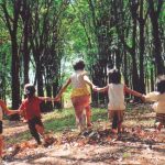 Mùa hoa khiêm nhường