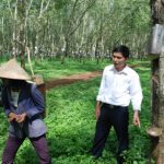 Vui - chén xi măng