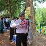 Cao su Mường Nhé - Điện Biên ra quân khai thác mủ cao su
