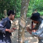 Giải pháp cho tình trạng thiếu lao động tại Campuchia