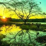 Hừng đông ở hồ nước Suối Tre