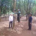 Nông trường Ea Hiao - Thành viên mới câu lạc bộ 2 tấn