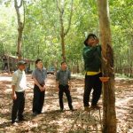Chiếc thang vòng của Rmah Timô Thê