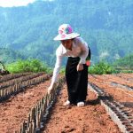 San sẻ nghĩa tình