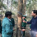 Năng suất cao nhờ siết chặt quản lý