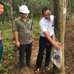 Lãnh đạo VRG làm việc tại tỉnh Sơn La