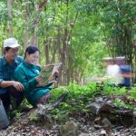 Tỏ tình giữa vườn cao su