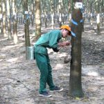 Yêu nghề và trách nhiệm