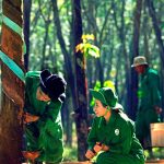 Chung tay vững bền