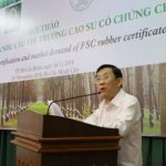 Đẩy mạnh cấp chứng chỉ quản lý rừng bền vững