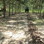 Tiết giảm giá thành ngay khâu lập kế hoạch